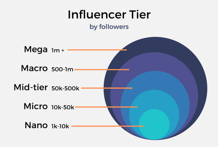 Jenis Influencer Marketing
